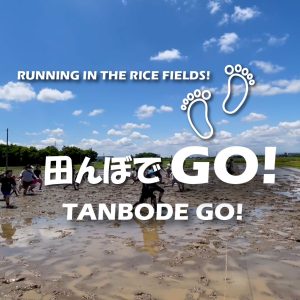 田んぼでGO! エントリー